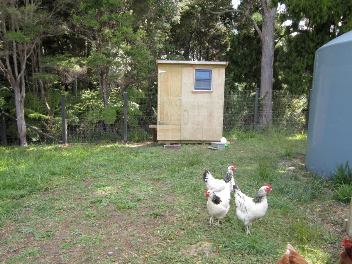 Вилла The Hen House Kaipara Flats Экстерьер фото